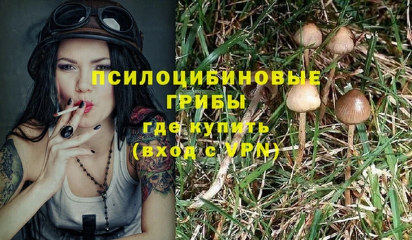 apvp Покровск