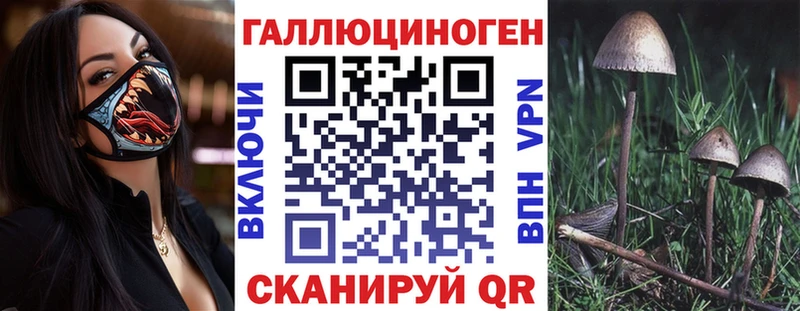 Псилоцибиновые грибы MAGIC MUSHROOMS где купить наркоту гидра рабочий сайт Пенза