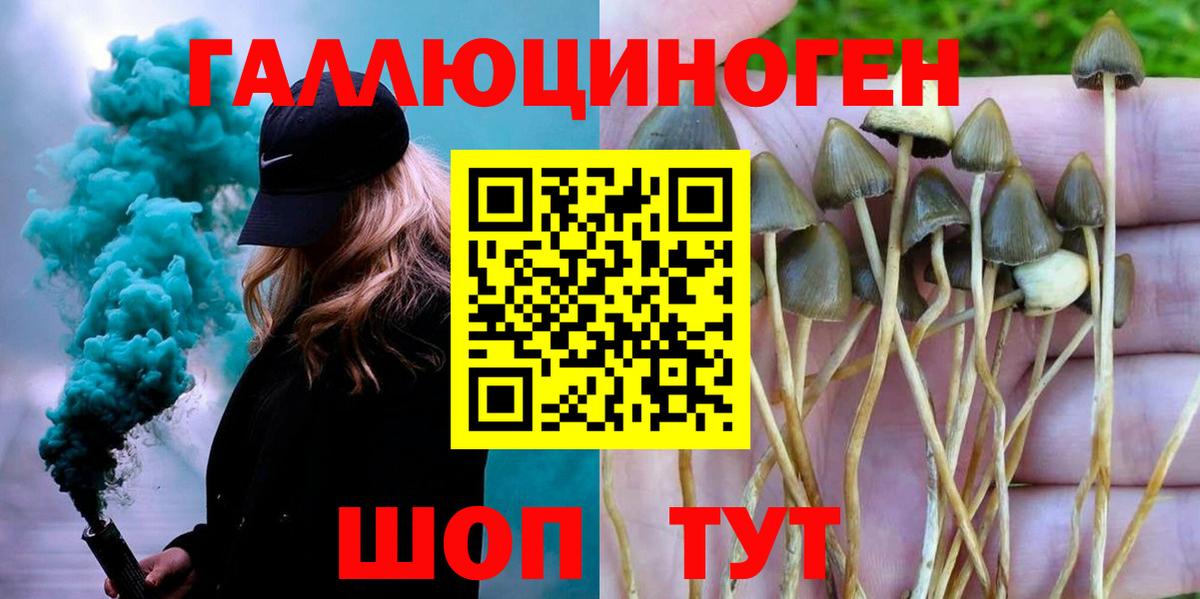 Псилоцибиновые грибы GOLDEN TEACHER Пенза